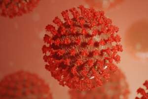 Diagnostic tool for coronavirus being developed by University of Warwick makes significant step forward